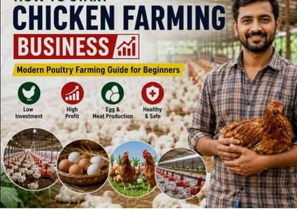 Investor Required for Poltry Farming