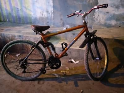 Bicycle in orange colur