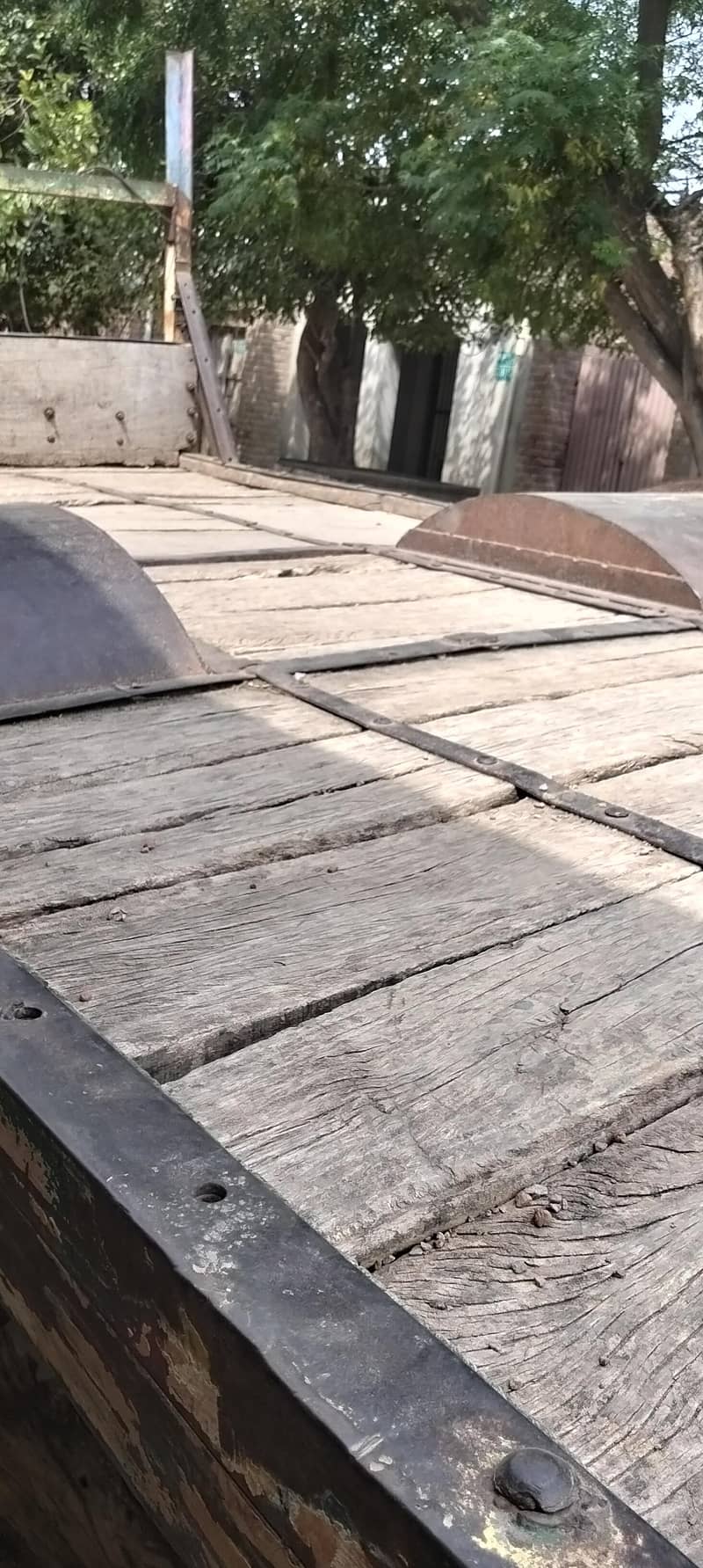 tarala 7