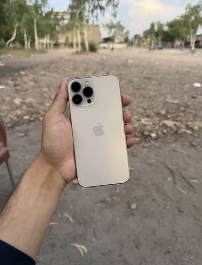 iPhone 13 Pro Max - 256GB (Factory Unlock)