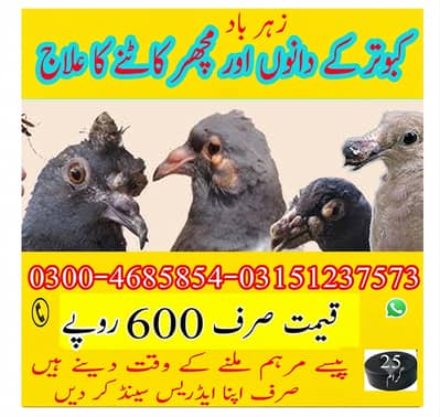ہر قسم کے آرڈرد کے لیئے واٹس ایپ پر رابطہ کریں 0.3. 0.0. 4.6. 8.5. 8.5. 4