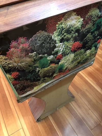 Aquarium for fishes