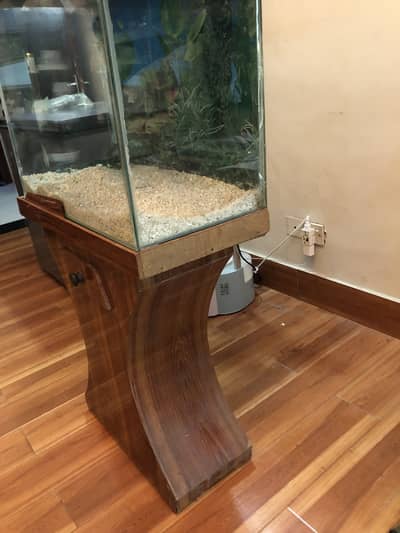 Aquarium for fishes