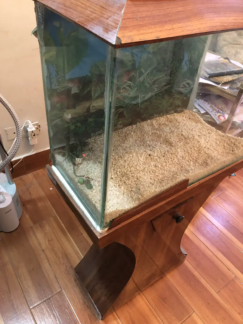 Aquarium for fishes — photo 4