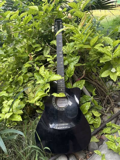 10/10 guitar colour black