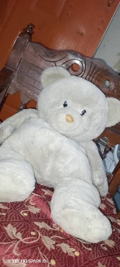Teddy bear