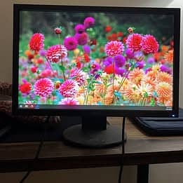 Acer | Monitor | 19