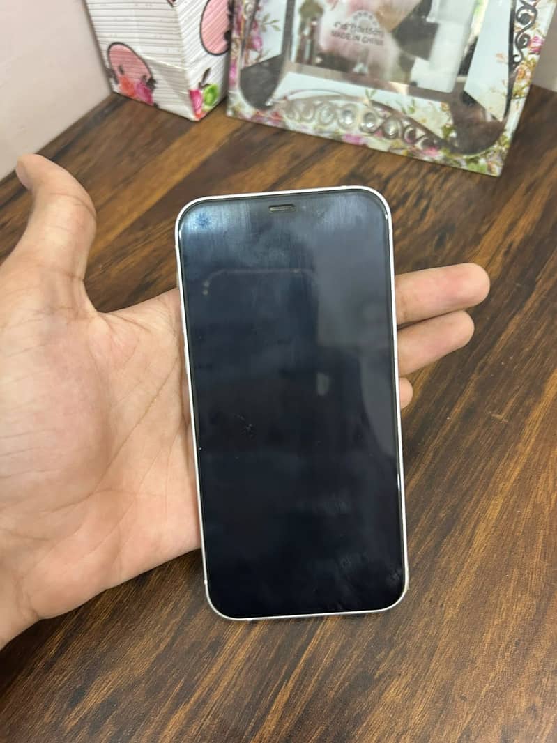 Apple iPhone 12 1
