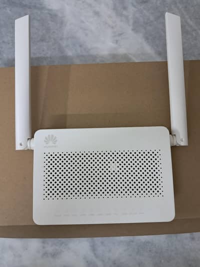 Huawei EchoLife Router