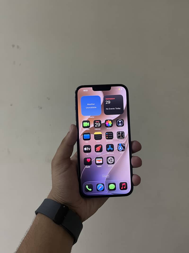 Apple iPhone 13 Pro Max 2