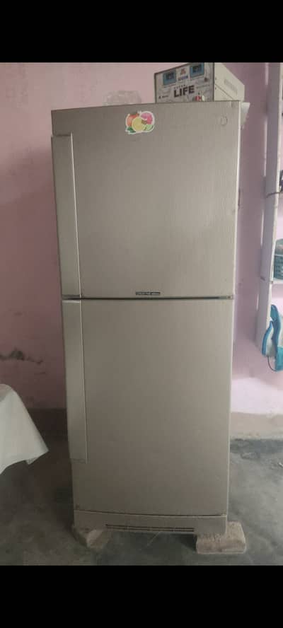 Pel xxl size fridge