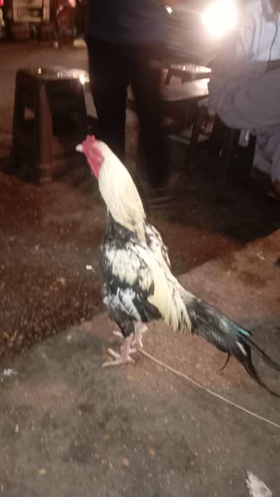 12345