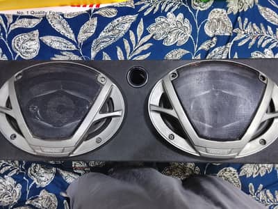 Car trunk speaker