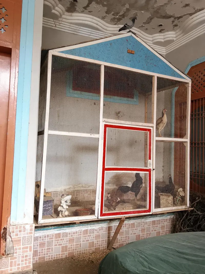 Birds cage — photo 2