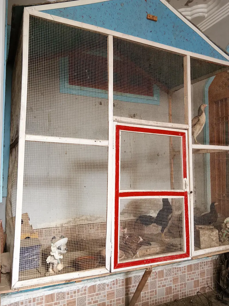 Birds cage — photo 4