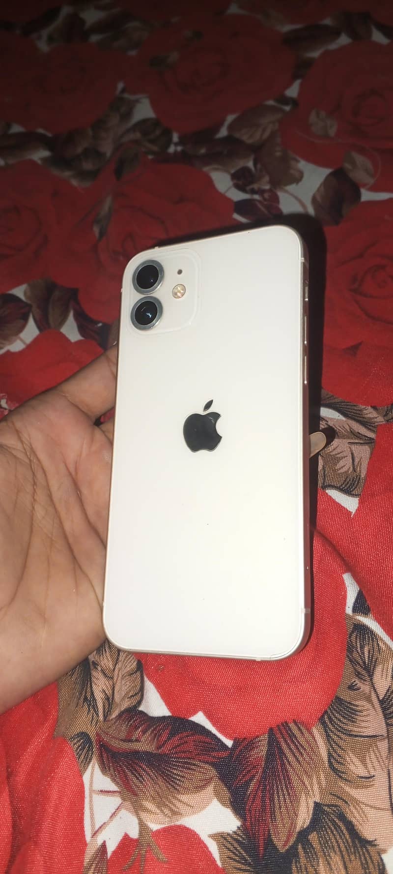 Apple iPhone 12 1