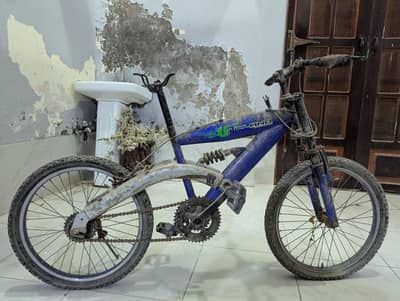 Morgan blue cycle