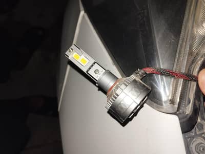 Led Bulbs
