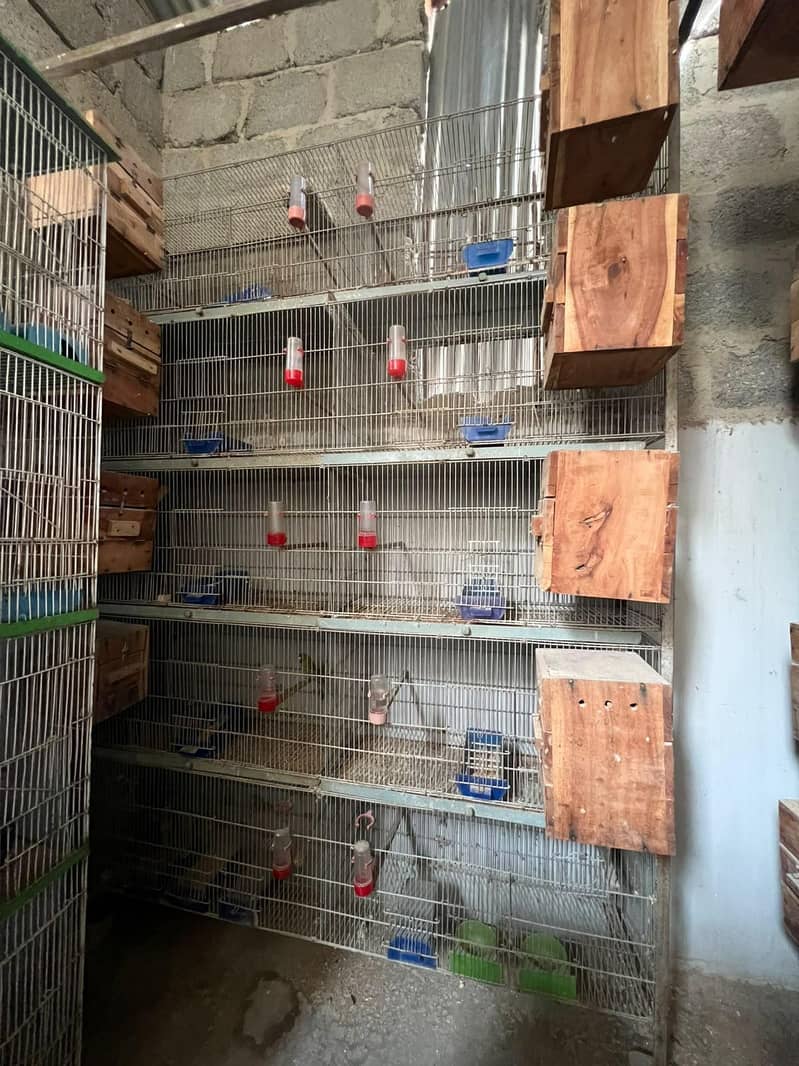 Cages 0