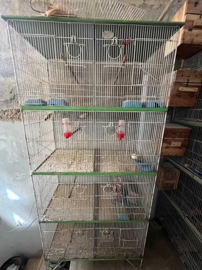 Cages 1