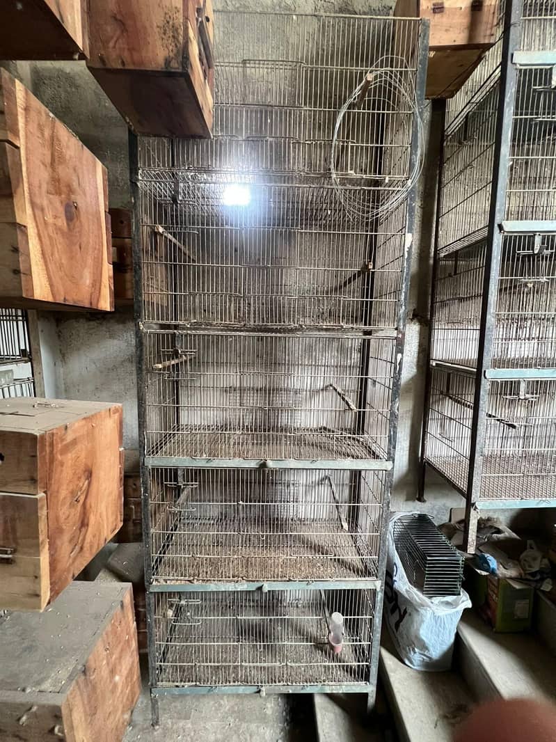 Cages 2