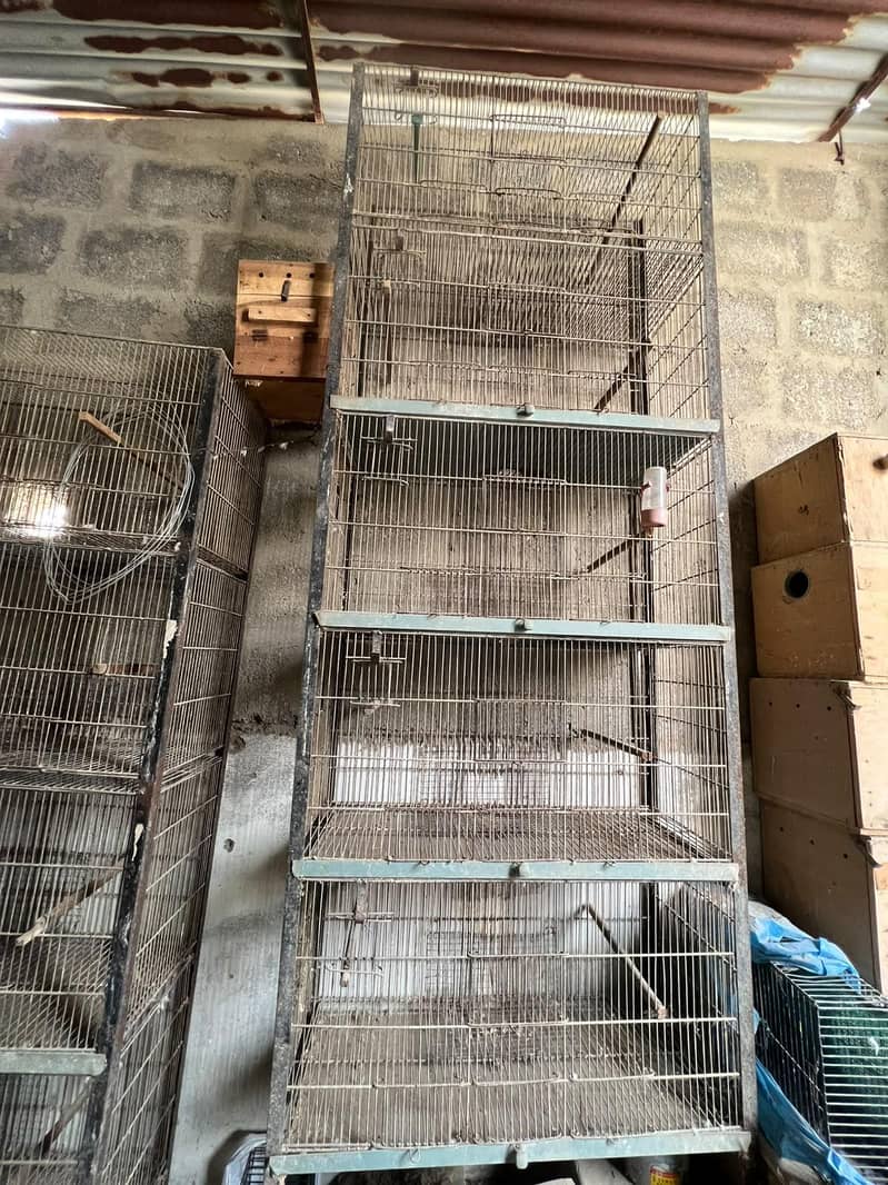 Cages 3