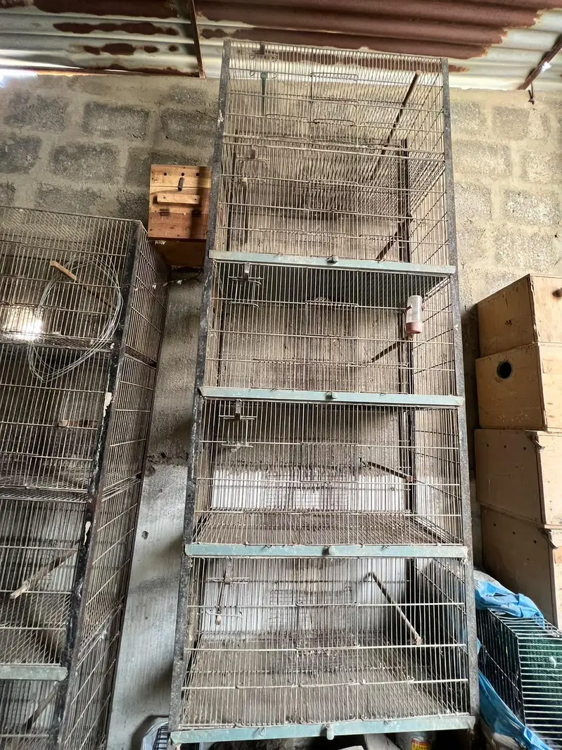 Cages — photo 4