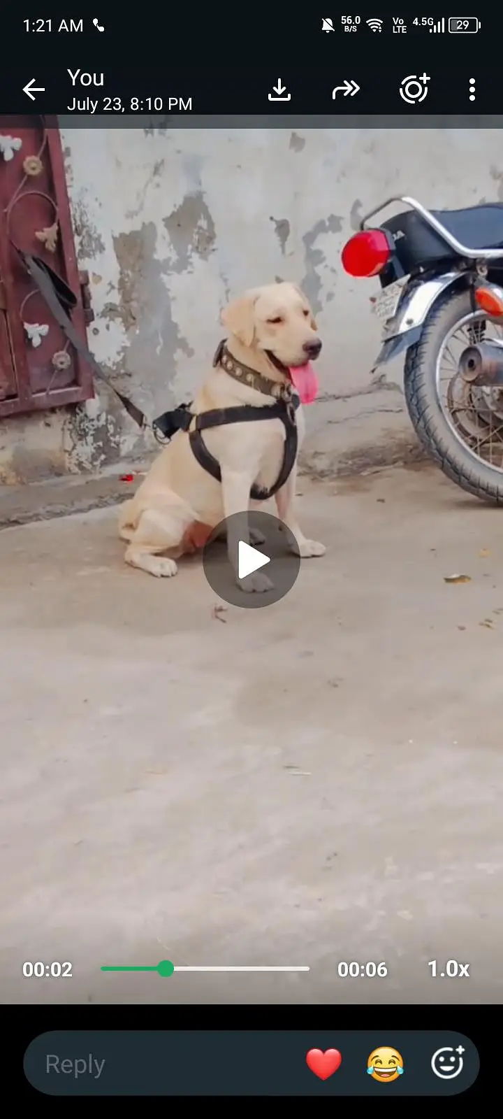 urgent sale full active — photo 3