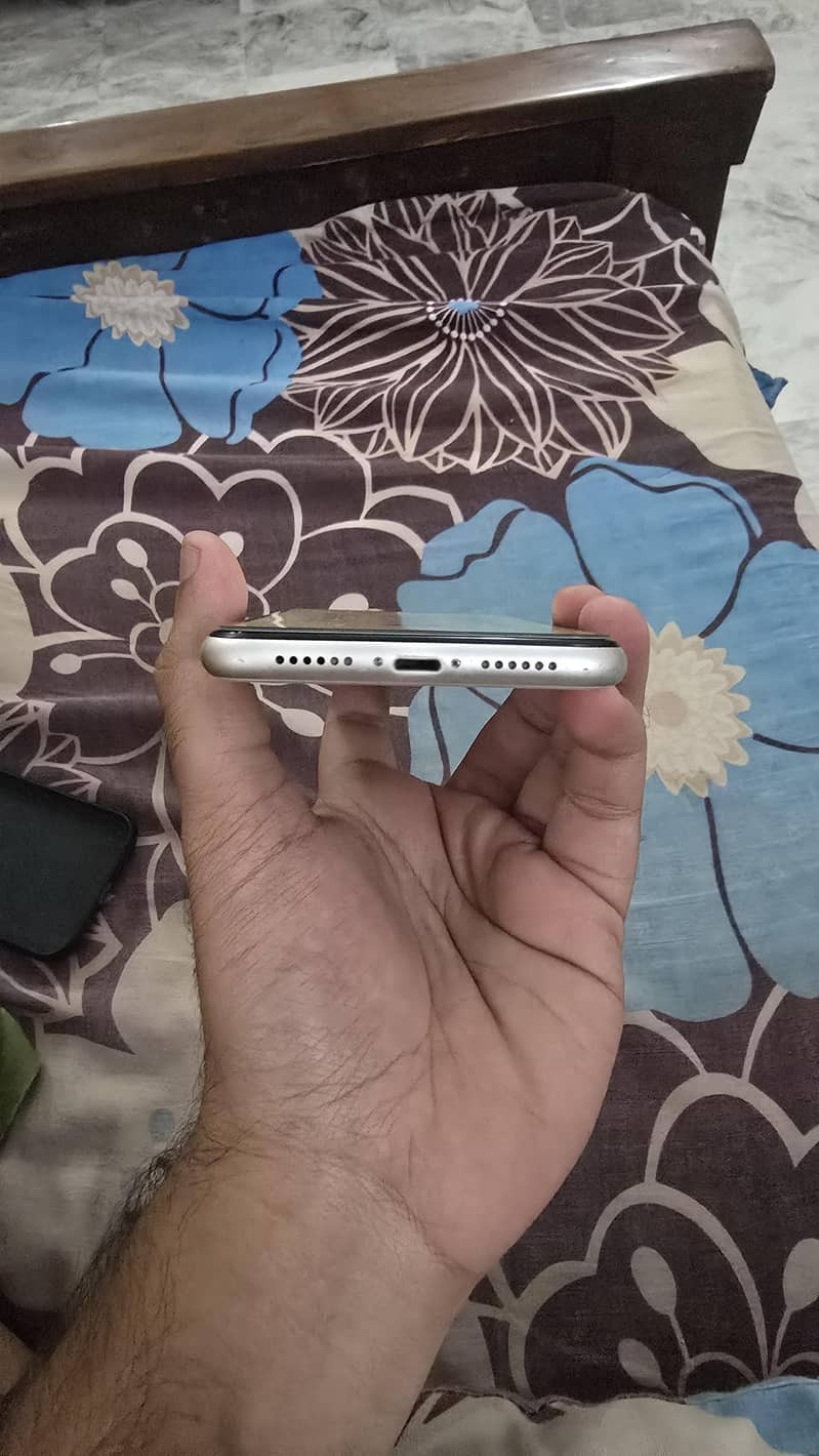 Apple iPhone 11 3