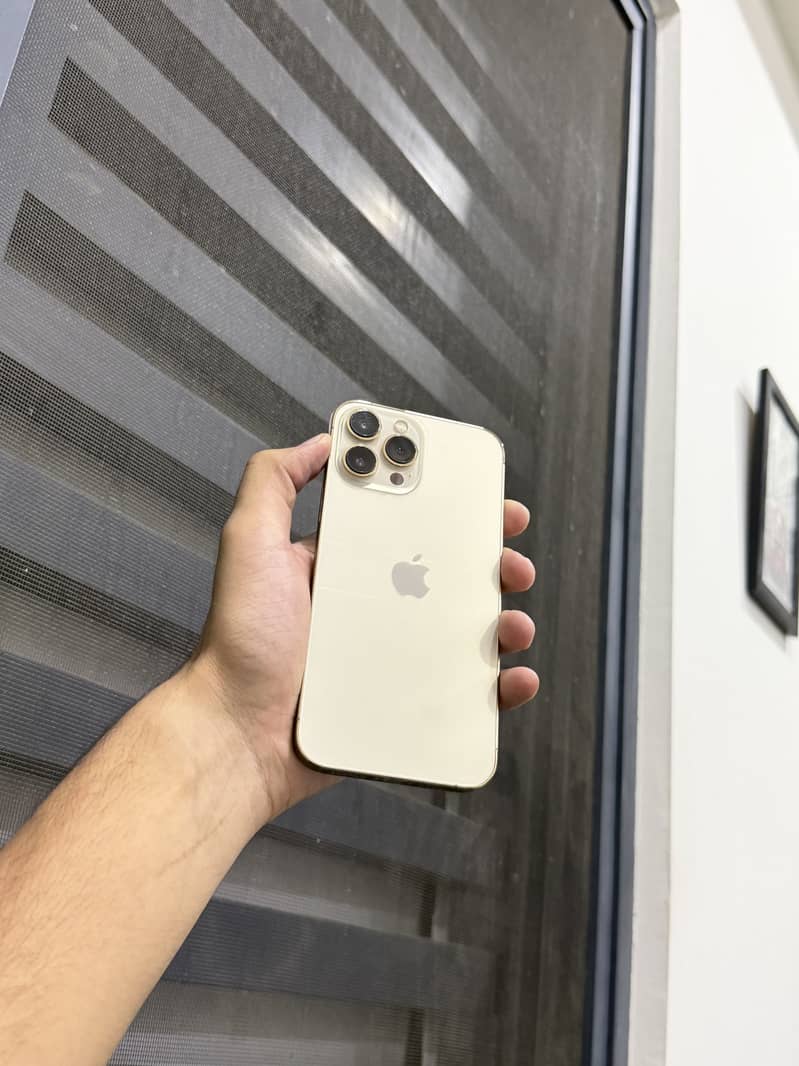 Iphone 13 pro max 0