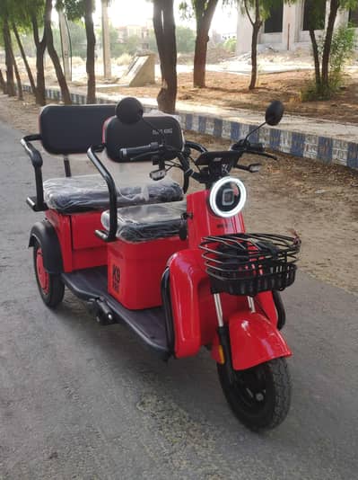 Road King - Electric scooter - Urgent Sale