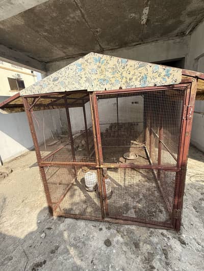 Big cage for birds and hen and dog