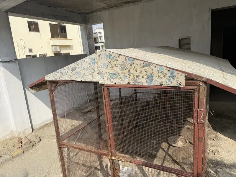 Big cage for birds and hen and dog — photo 7
