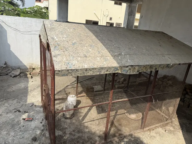 Big cage for birds and hen and dog — photo 8