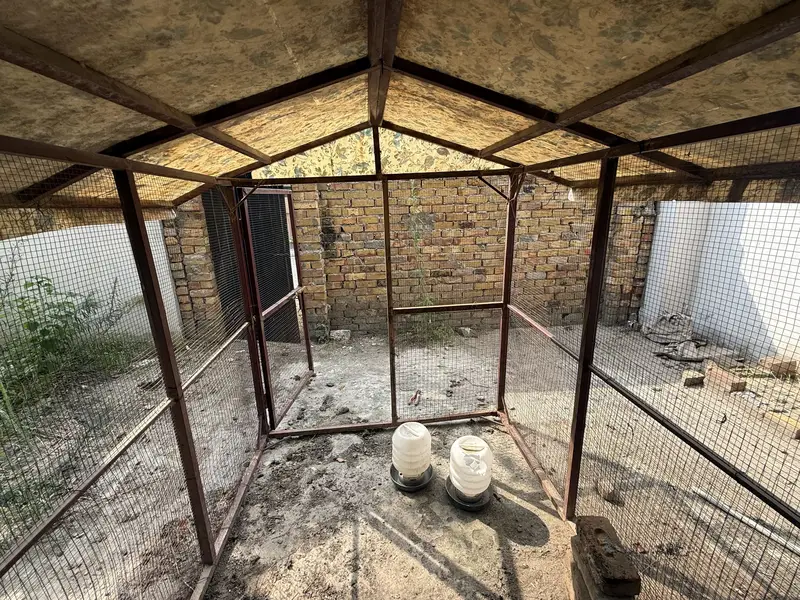 Big cage for birds and hen and dog — photo 9