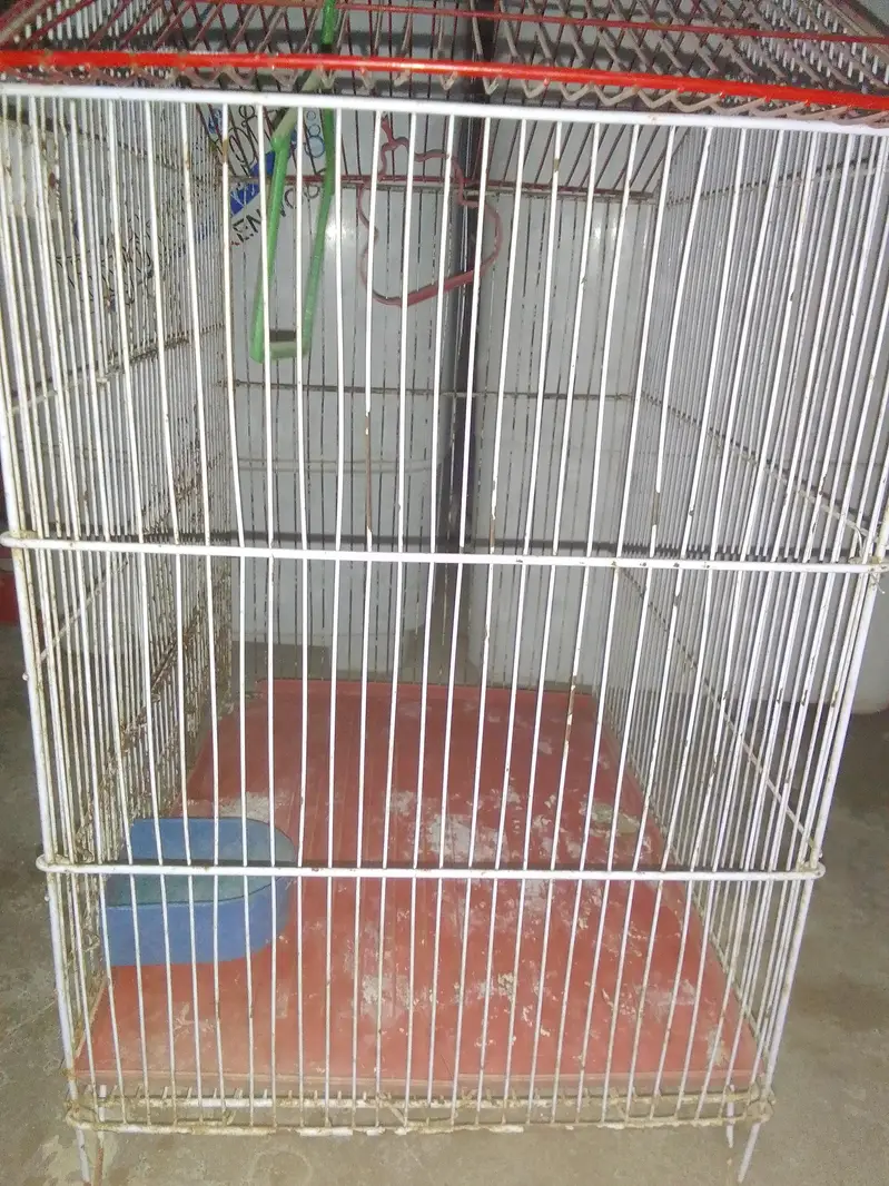 pinjra For sell — photo 2