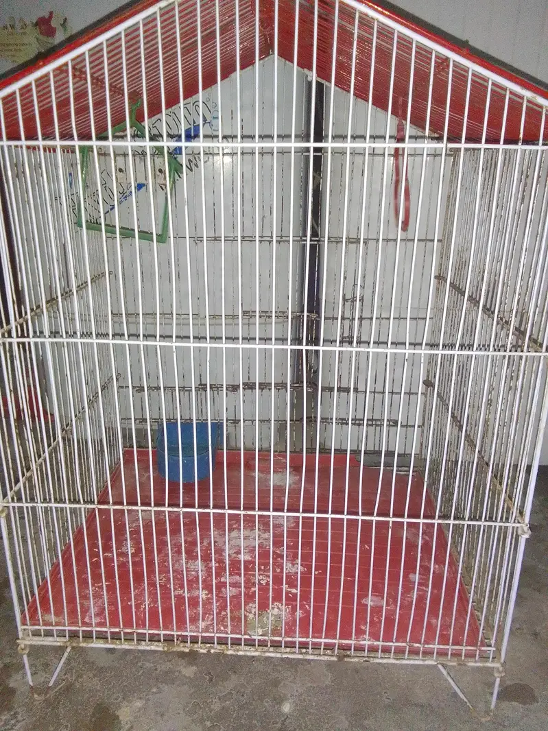 pinjra For sell — photo 3