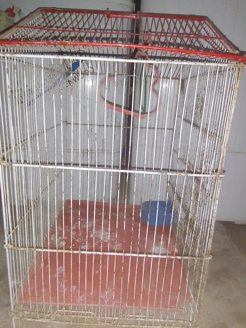 pinjra For sell — photo 4