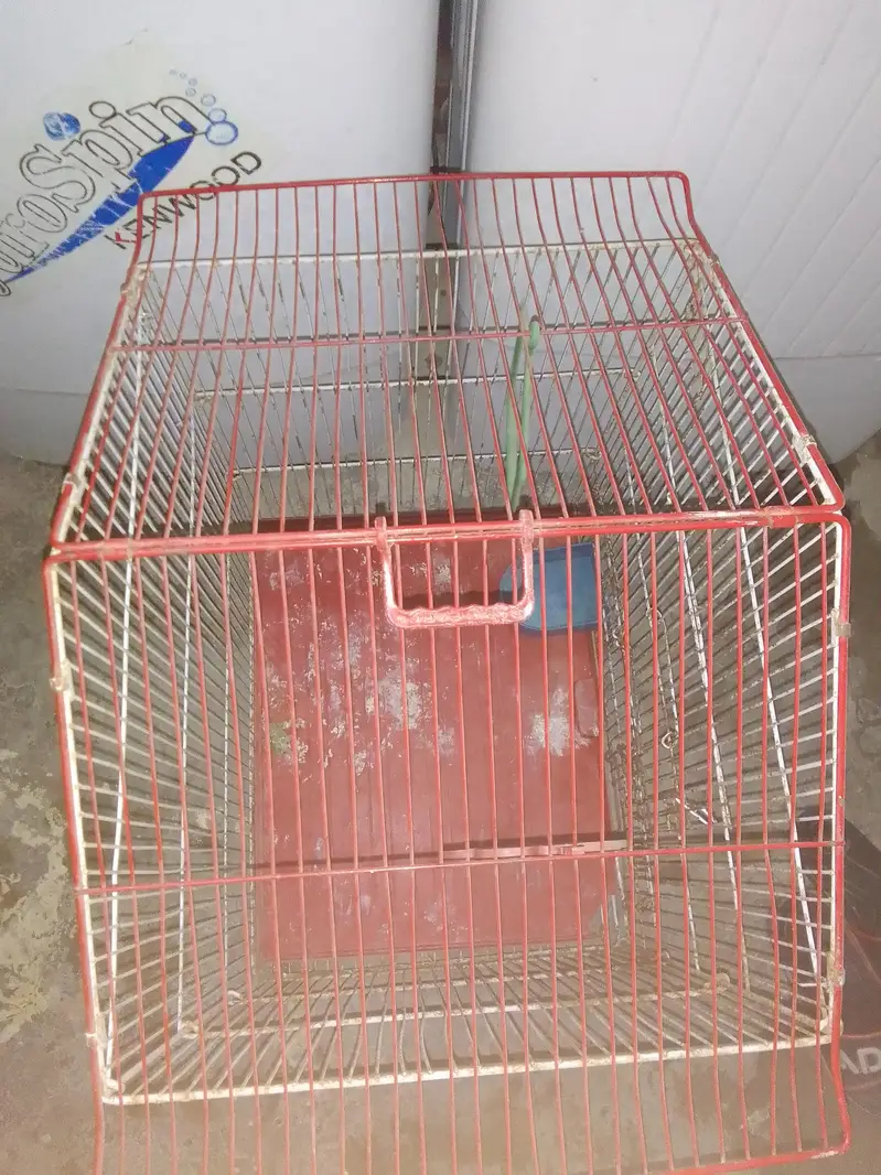 pinjra For sell — photo 5