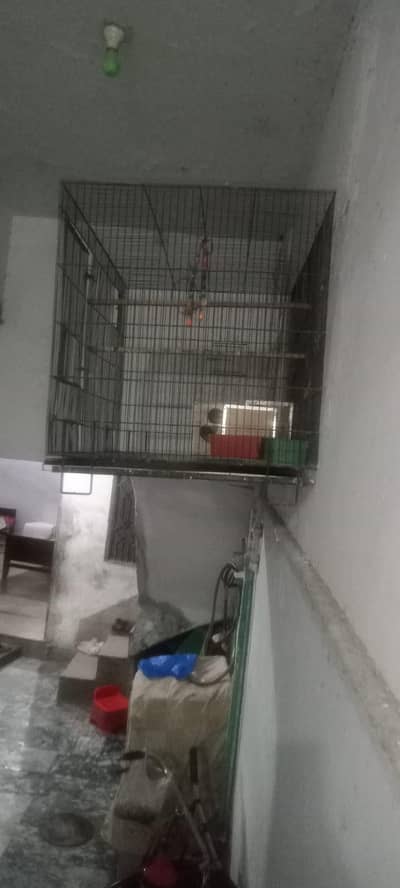 caga pinjara 3 foot lambai 4 foot chaudai
