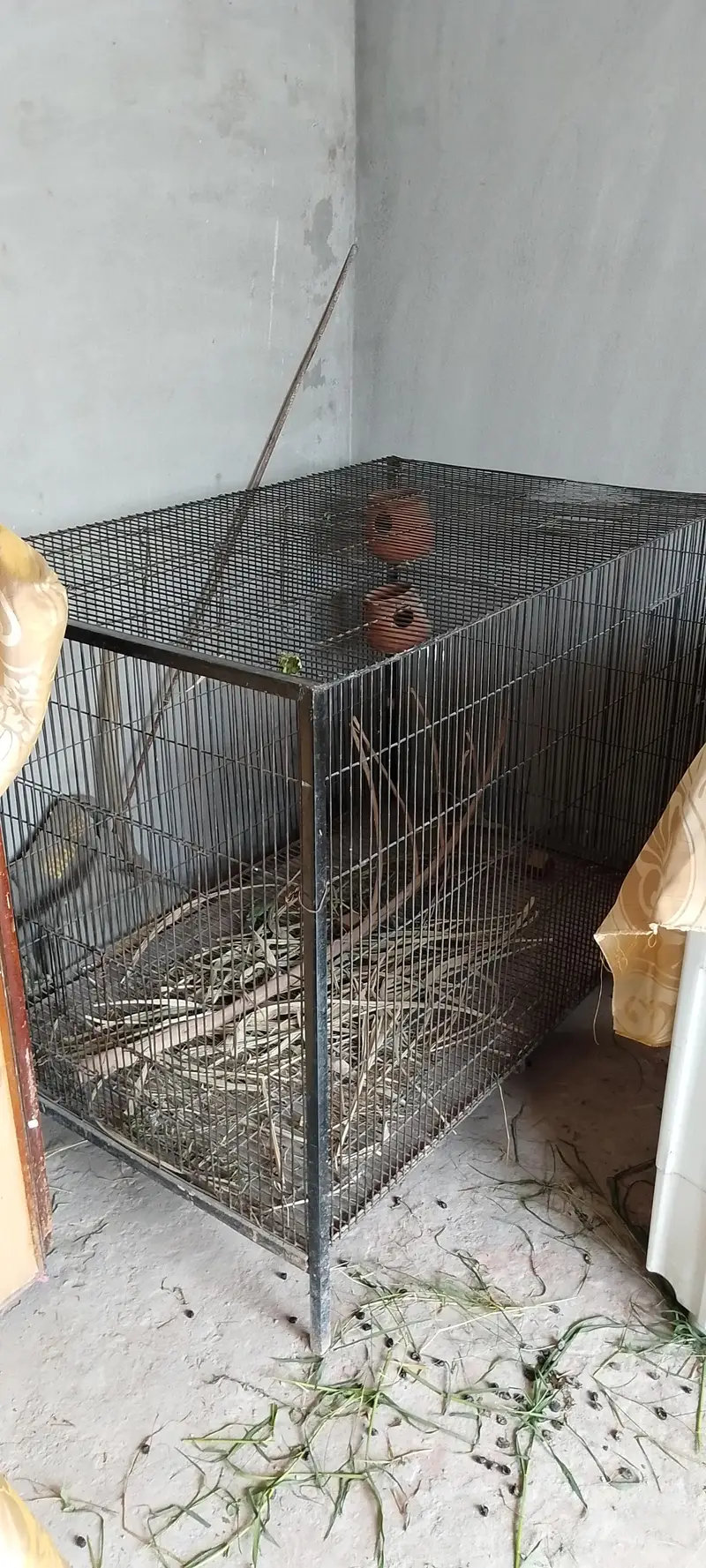 3221406653 مضبوط اور بھاری پنجرہ دستیاب ہے صرف صفائی ہونے والی ہے باقی — photo 6