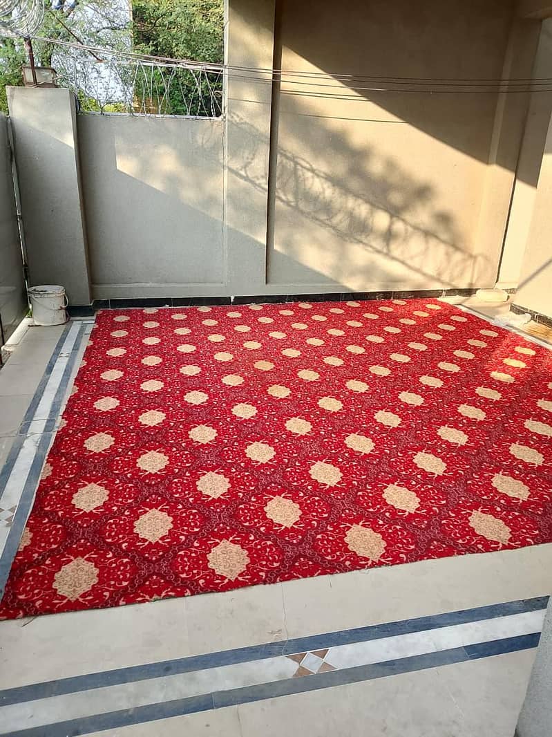 Carpet 1
