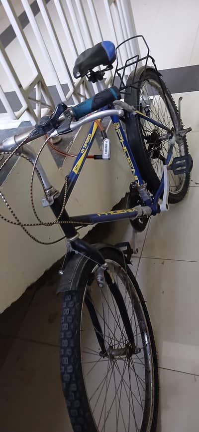 26 inch cycle