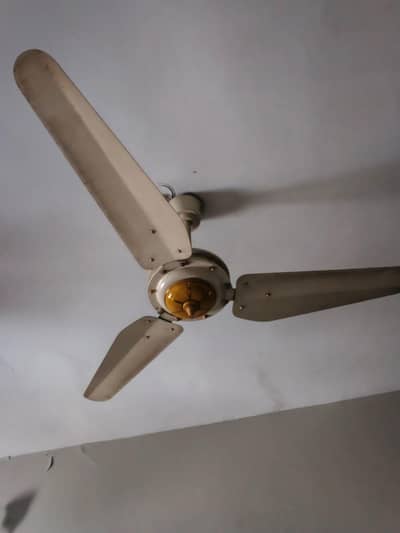 celling fancy fan