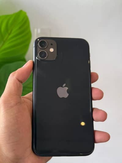 IPhone 11 64GP NON PTA condition 10/10 | Lush Condition i Phone