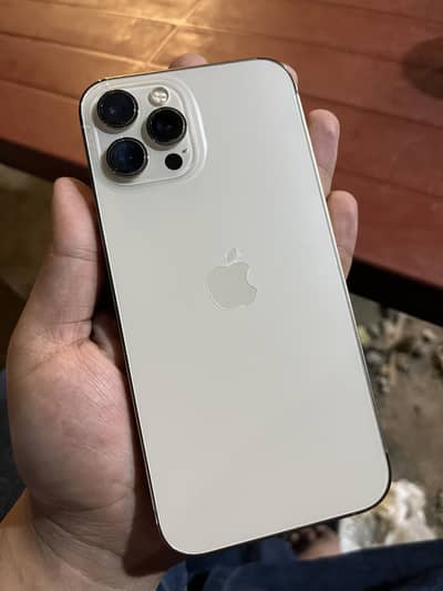 Apple iPhone 12 Pro Max