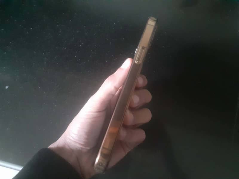 Apple iPhone 12 Pro Max 2