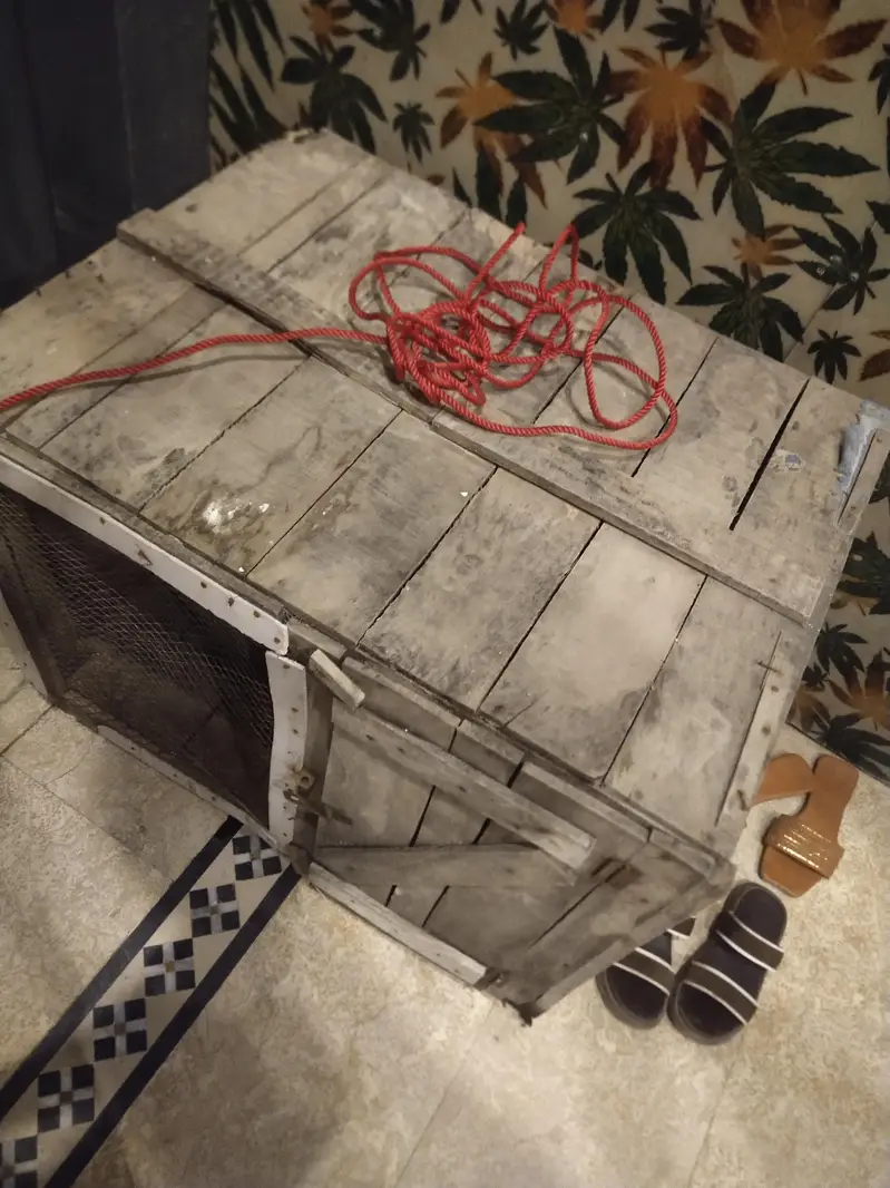 wooden cage — photo 3