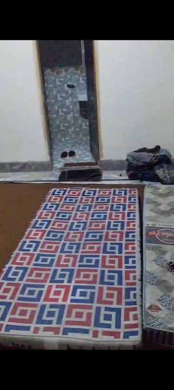 MIAN ESTATE OFFERS PENTHOUSE/ROOM AVAILABLE FOR RENT FOR BACHELORS