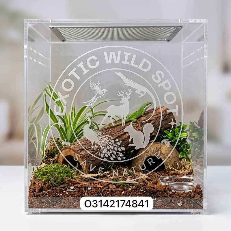 Customize Cages 1
